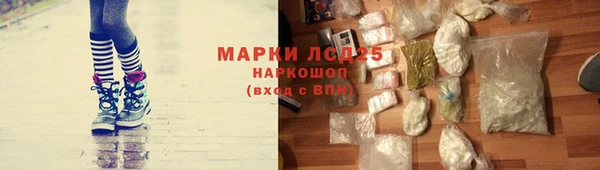 СК Верея